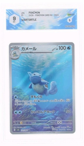 Pokemon wartortle - pokemon, (ar)