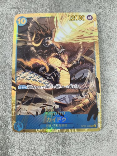 One piece kaido - one,